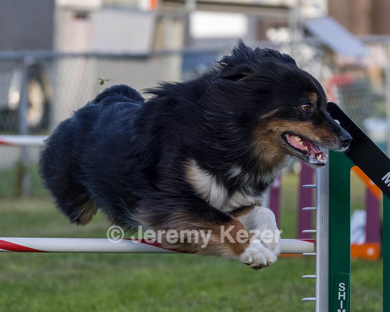 20230916-PVKC-1737.jpg
