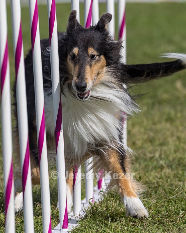 20230916-PVKC-1222.jpg