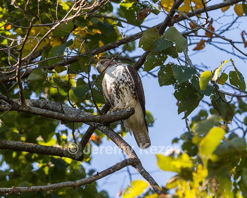 20160925-C-0053.jpg