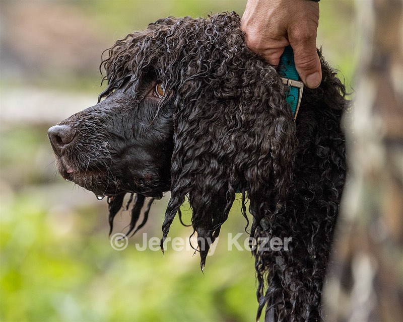 Ghillie Kezer