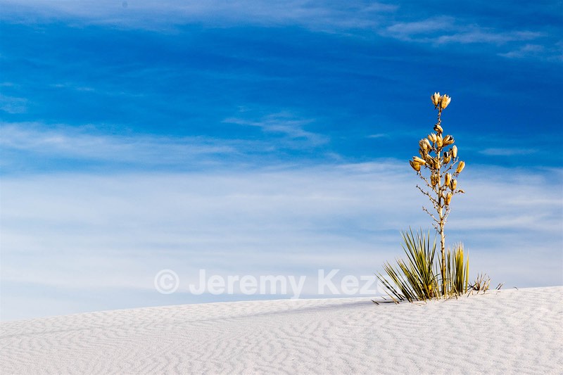 White Sands National Monument, New Mexico