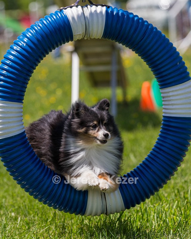 20170520-NEAT-1529.jpg