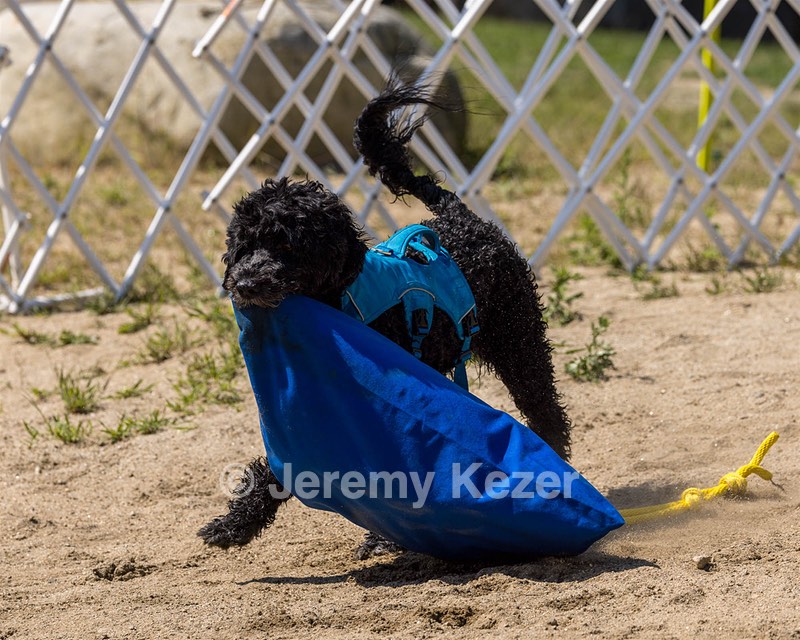 Fenwick Kutner