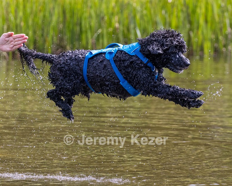 "Fenwick" and Janet