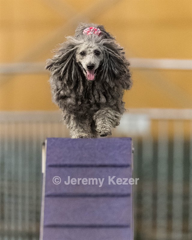 Peetie Sulewski
