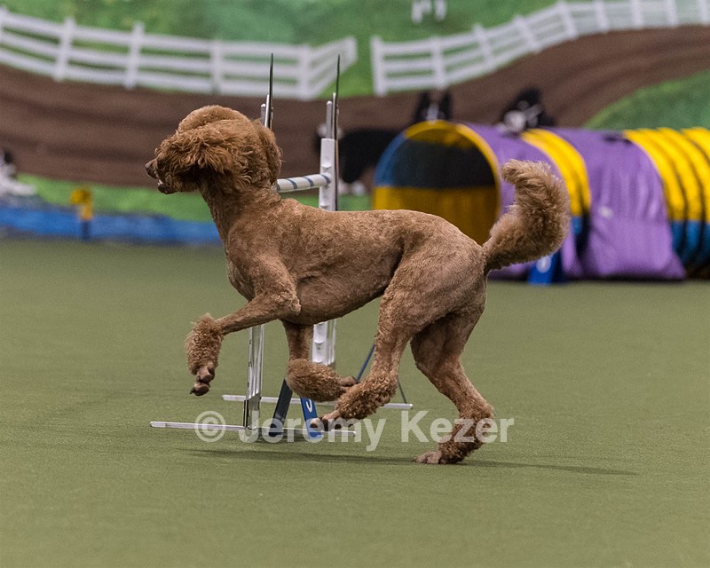 Zac