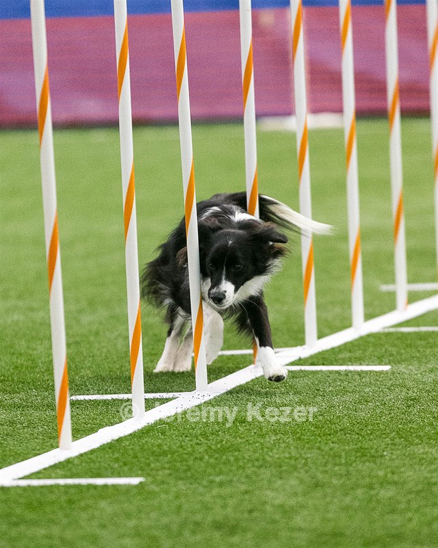 20150322-LEAP-0814.jpg