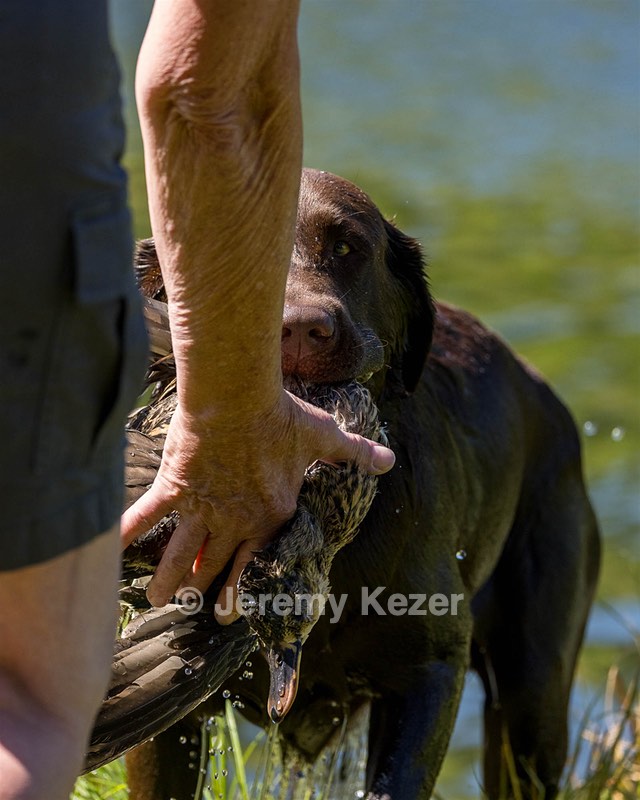 Gunny Fisher