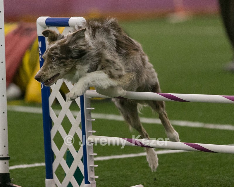 20150321-LEAP-0317.jpg