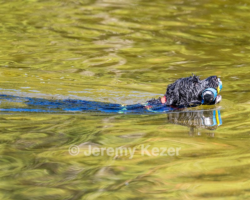 Gabi Robinson
