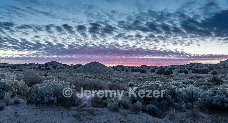 New Mexico