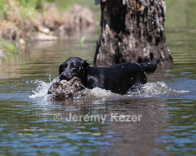 Teagan