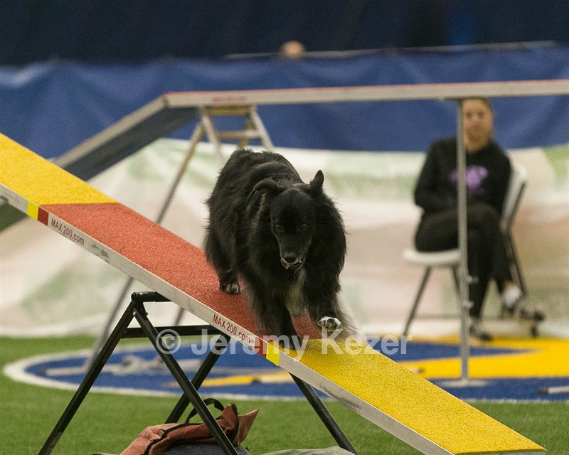 20150321-LEAP-1452.jpg