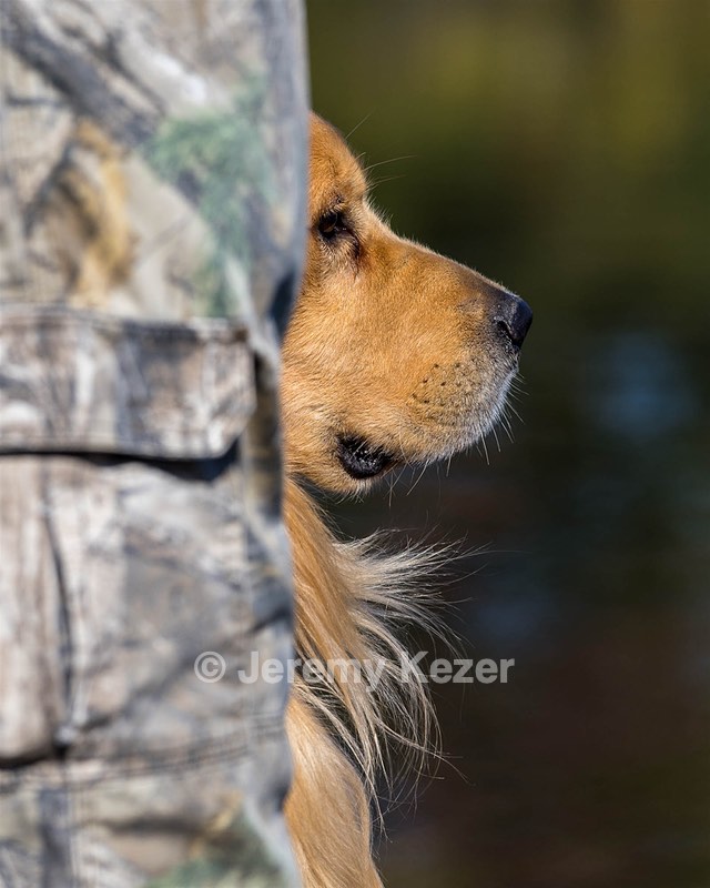Koda Huss