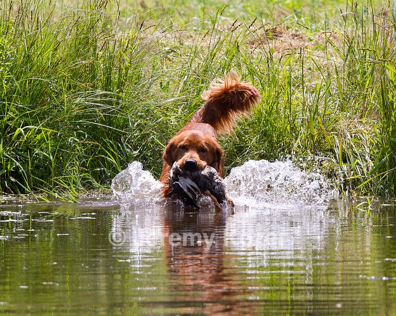 20130714-MHB2-0084.jpg