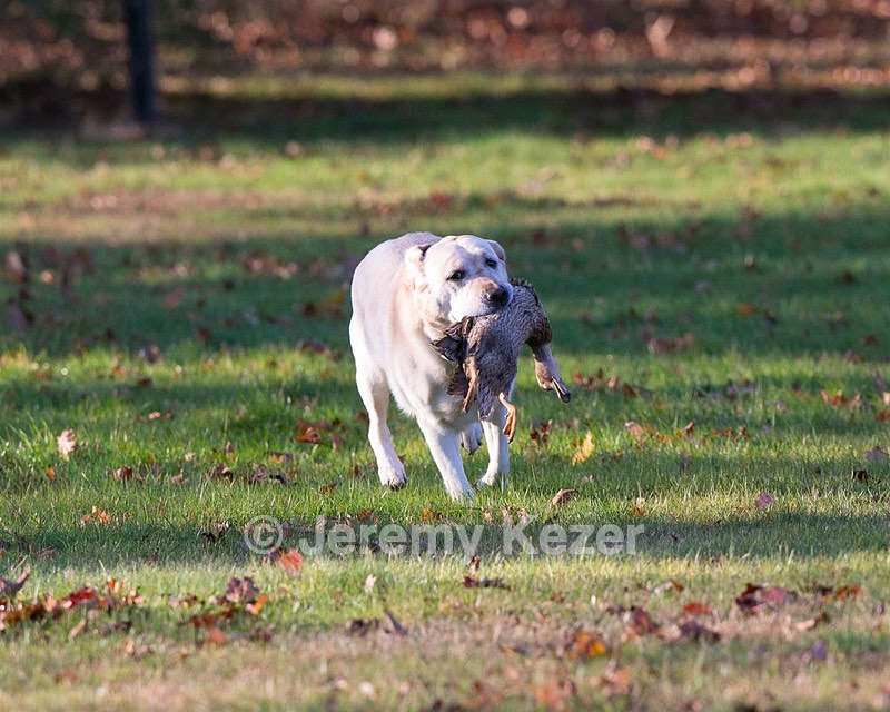 20131027-WCL-0005.jpg