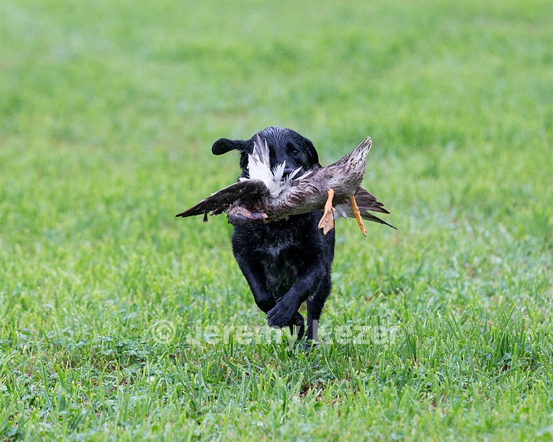 Sadie Martin