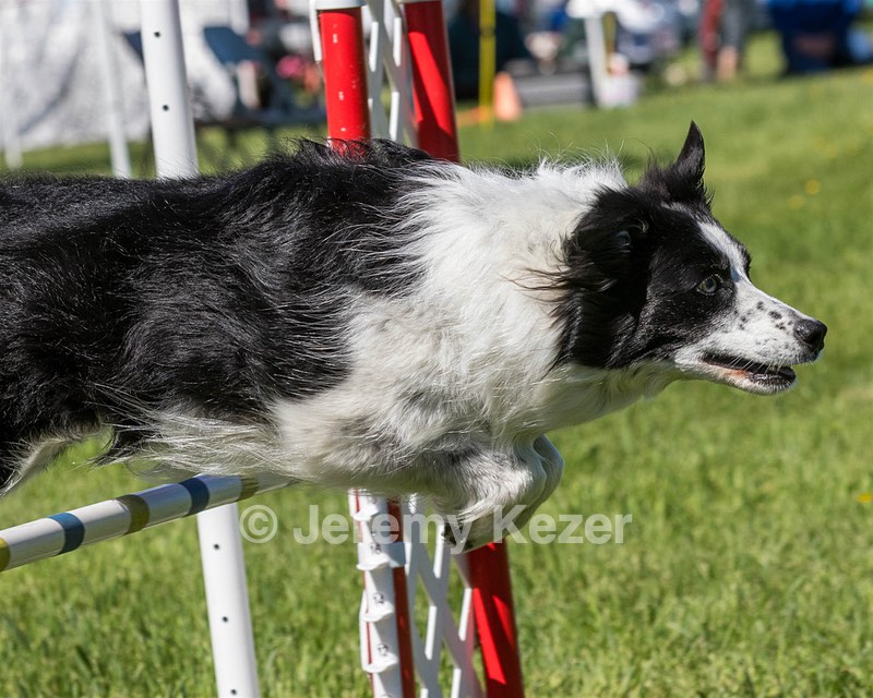 Bryce Gorman