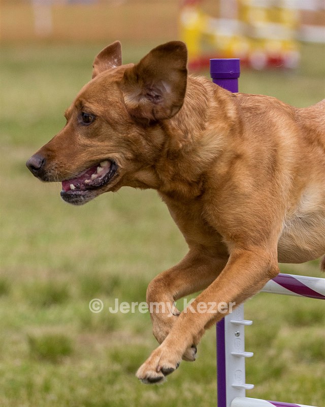 20190616-CCKC-1593.jpg