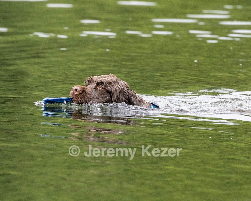 Smudge Lefebvre