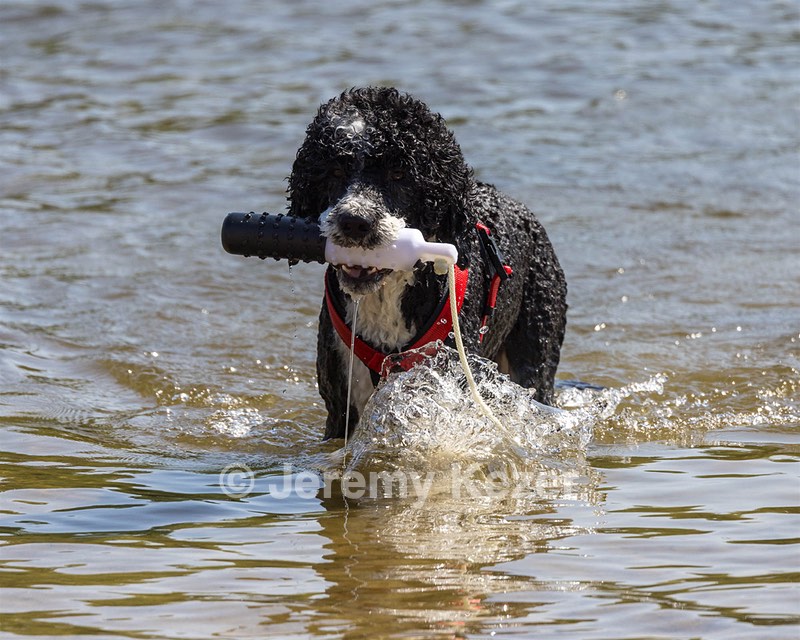 Bohdi Mayo