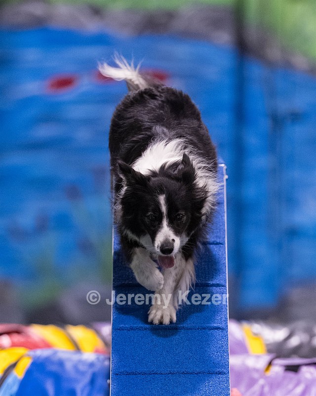 Breeze Schunk