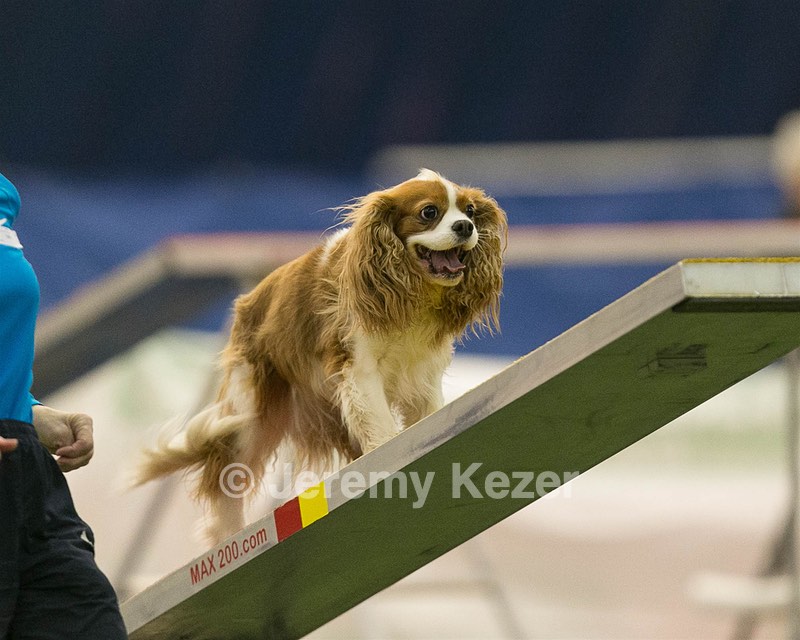 20150321-LEAP-1612.jpg