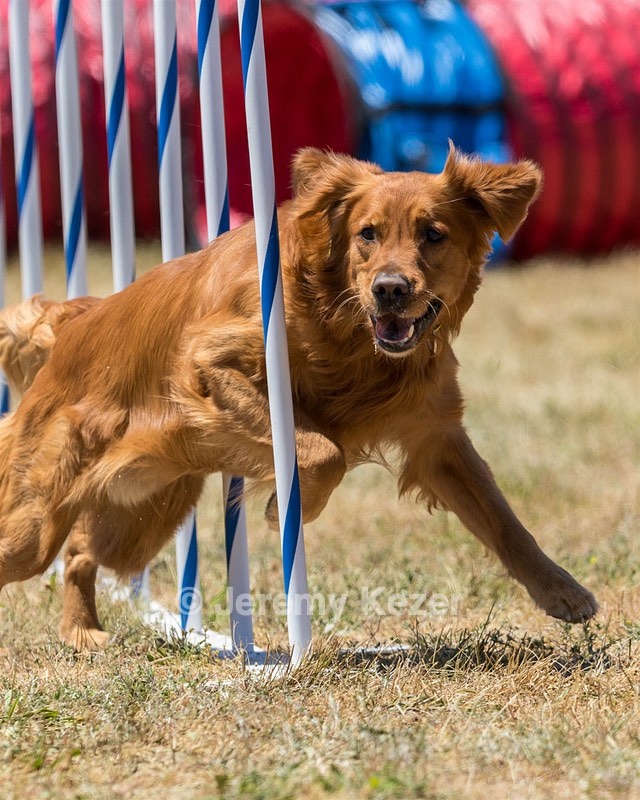 20160618-CCKC-1383.jpg