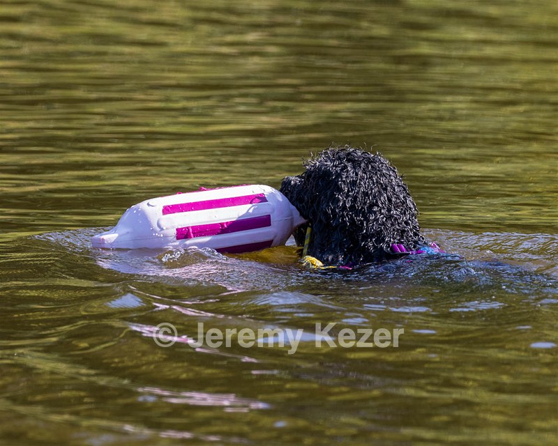 Perry
