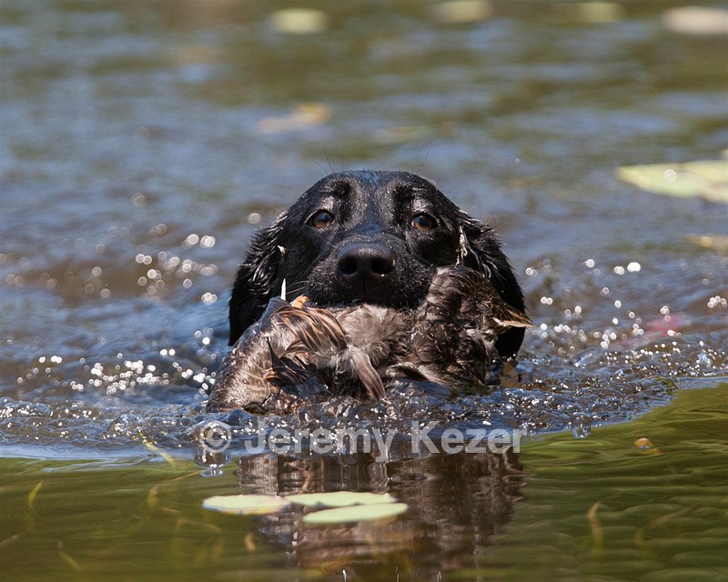 Teagan