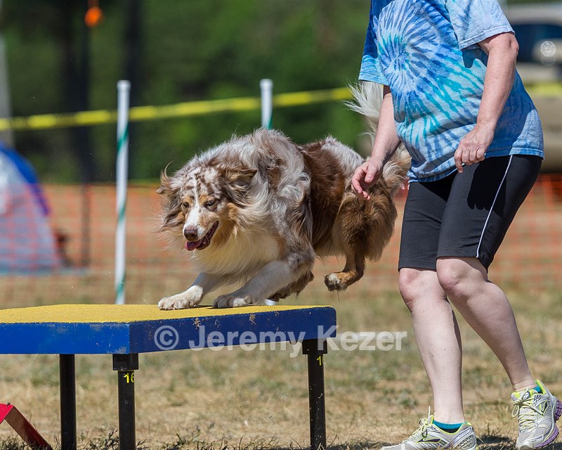 Keebler Derby