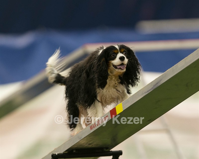 20150321-LEAP-1725.jpg