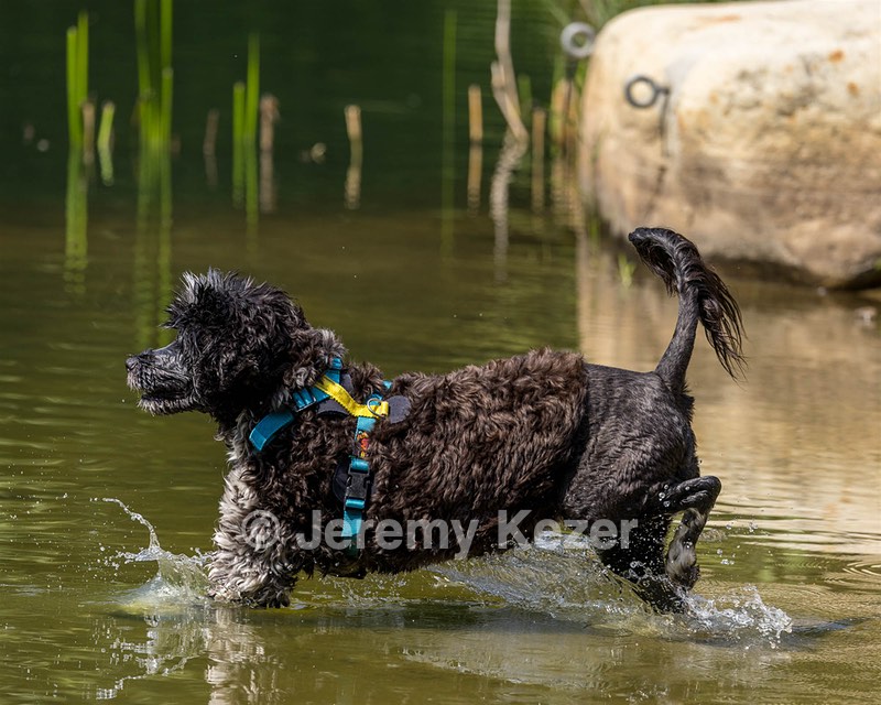Kayla Ratner