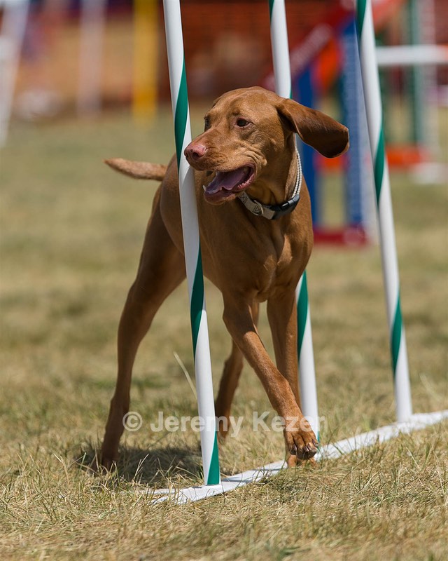 20150614-CCKC-1710.jpg