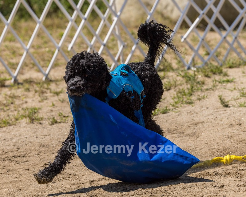Fenwick Kutner