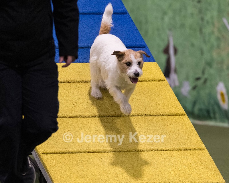 Teddy Caruso