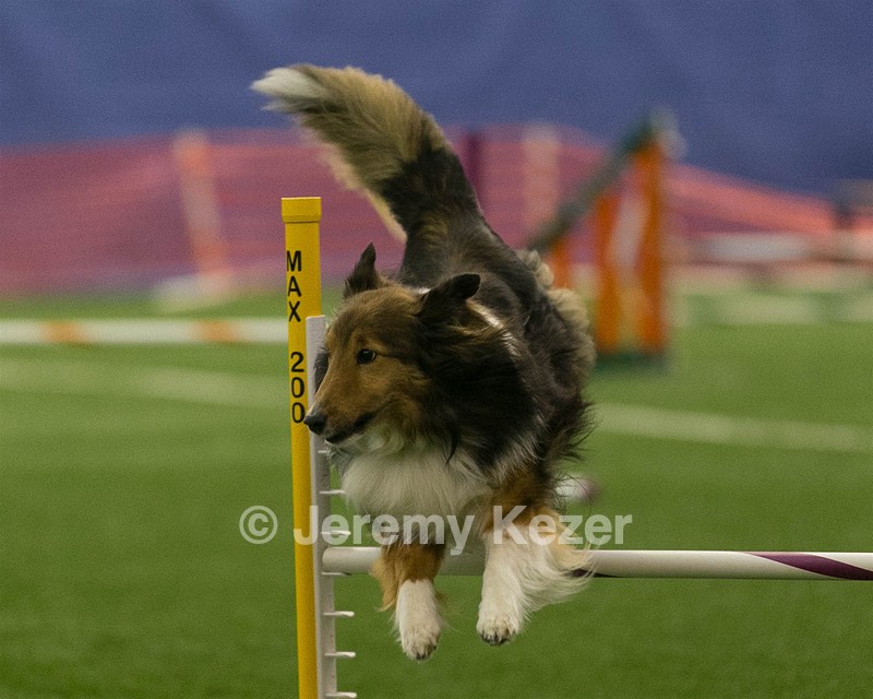 20150321-LEAP-1323.jpg