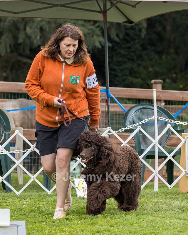 2304 - GCH CH BREKKON'S FIRST MARK BN RN CGC TKN
