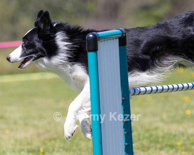 Mags Tees