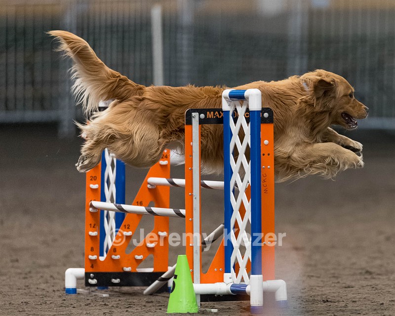 Pup-Pup Beaulieu