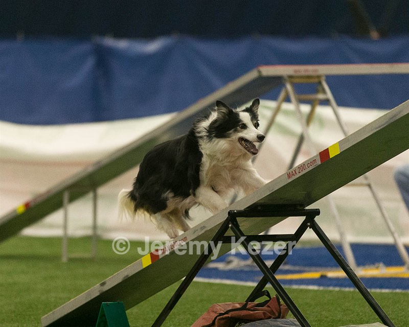 20150321-LEAP-0876.jpg