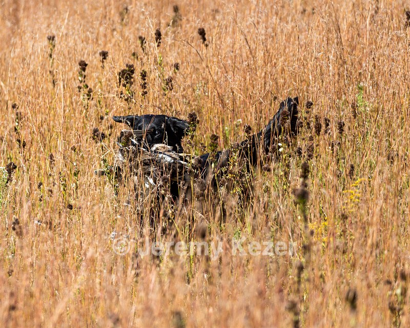 20191005-WCL-0033.jpg