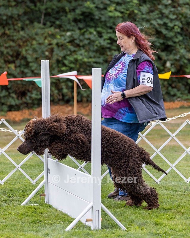 2401 - CAT'S' RUSTY CHARLIE RI CGC TKA (Dugan)