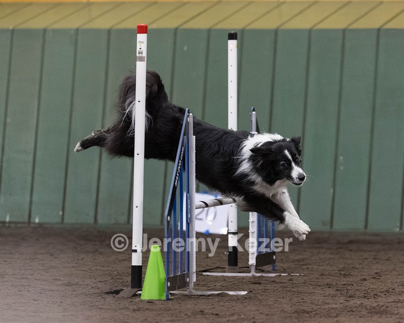 Breeze Schunk