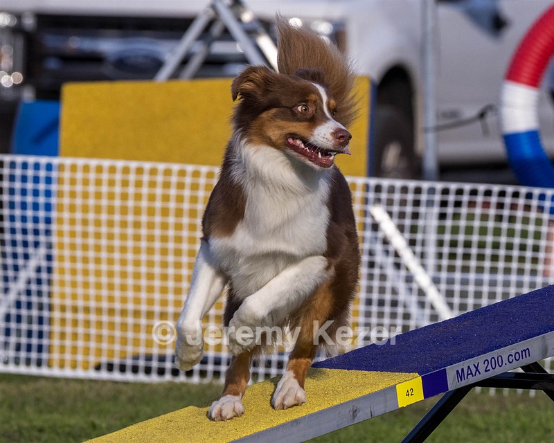 20230916-PVKC-1696.jpg
