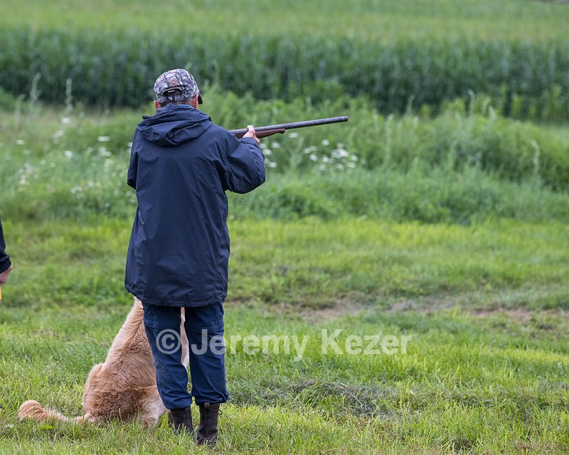 Flash Mulholland