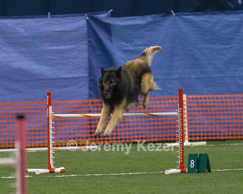 20150321-LEAP-0271.jpg