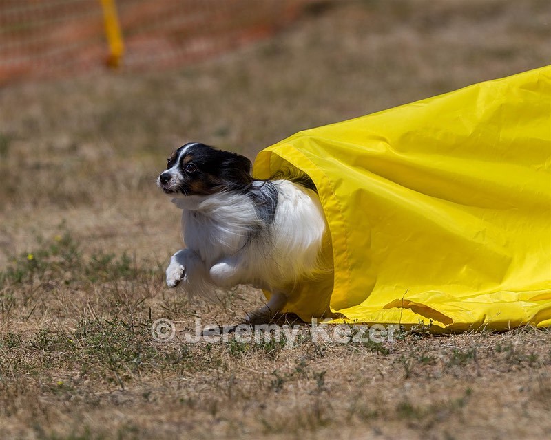 20160619-CCKC-1131.jpg