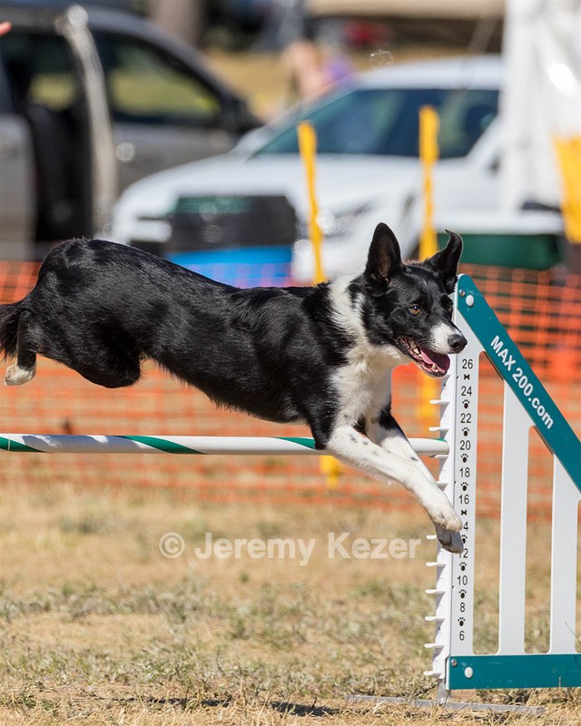 20160619-CCKC-1804.jpg