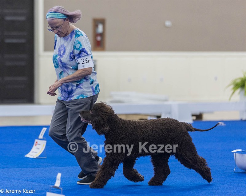 R26 - CH CUBOGLACH ROSY MAPLE RAE CAA BCAT SWME RATS DJ DN CGC TKN FTN